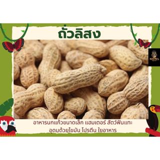 ถั่วลิสงนอก (แบ่งขาย 250g-500g-1KG.) อาหารนกแก้วขนาดกลาง-ใหญ…