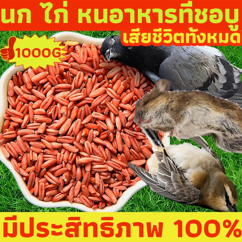 【COD】สูตรใหม่ล่าสุด ยาเบื่อนก ยาเบื่อนกพิราบ กันฝน กันแดด เหยื่อกำจัดนกพิราบ เหยื่อกำจัดนกพิราบ นกกระจอก
