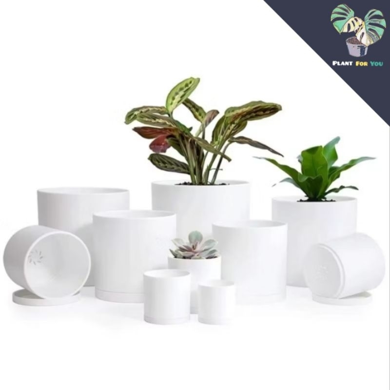 กระถางต้นไม้สไตล์มินิมอล Minimal พลาสติกแข็งอย่างดี PLANT FOR YOU