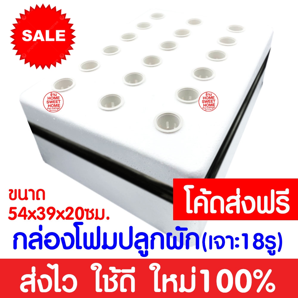 รูปภาพ 5