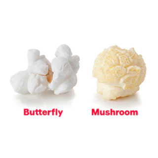 TOP POP เมล็ดข้าวโพดป๊อปคอร์นชนิดดอกเห็ด Mushroom 22.68kg | Popcorn Kernels Premium