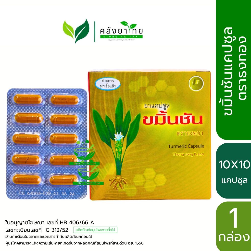 ขมิ้นชัน  แคปซูล Turmeric Capsule  ขมิ้นชันแคปซูล ธงทอง 10 แผง 100 แคปซูล