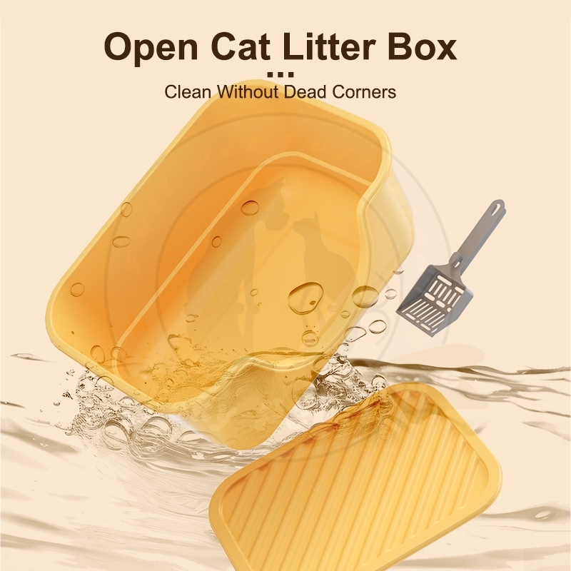 รูปภาพ 4