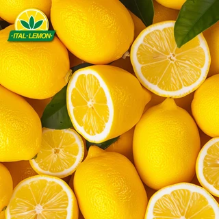 ITAL LEMON น้ำเลมอนสำหรับปรุงอาหาร 200ml | Dressing Made With Lemon Juice