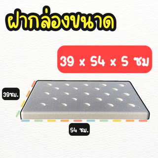 ฝากล่องโฟมปลูกผักไฮโดรโปนิกส์ (**เฉพาะฝา**) ฝากล่องโฟม เจาะฟรีตามสั่ง สามารถออกใบกำกับภาษีได้