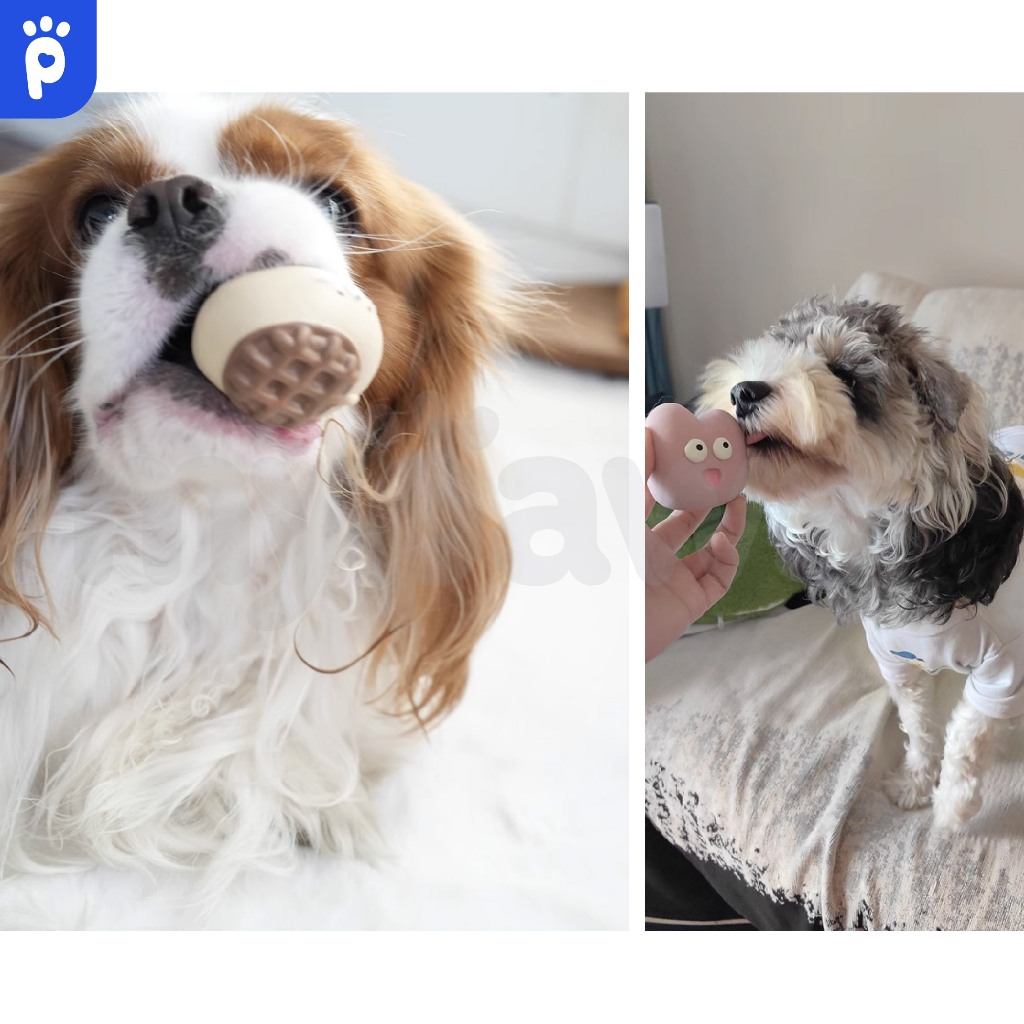 My Paws ของเล่นยางกัดสุนัขzoo ของเล่นหมาแบบยาง ลายน่ารักมีให้เลือกหลายแบบ กัดได้สนุกช่วยขัดฟัน - รูปที่ 5