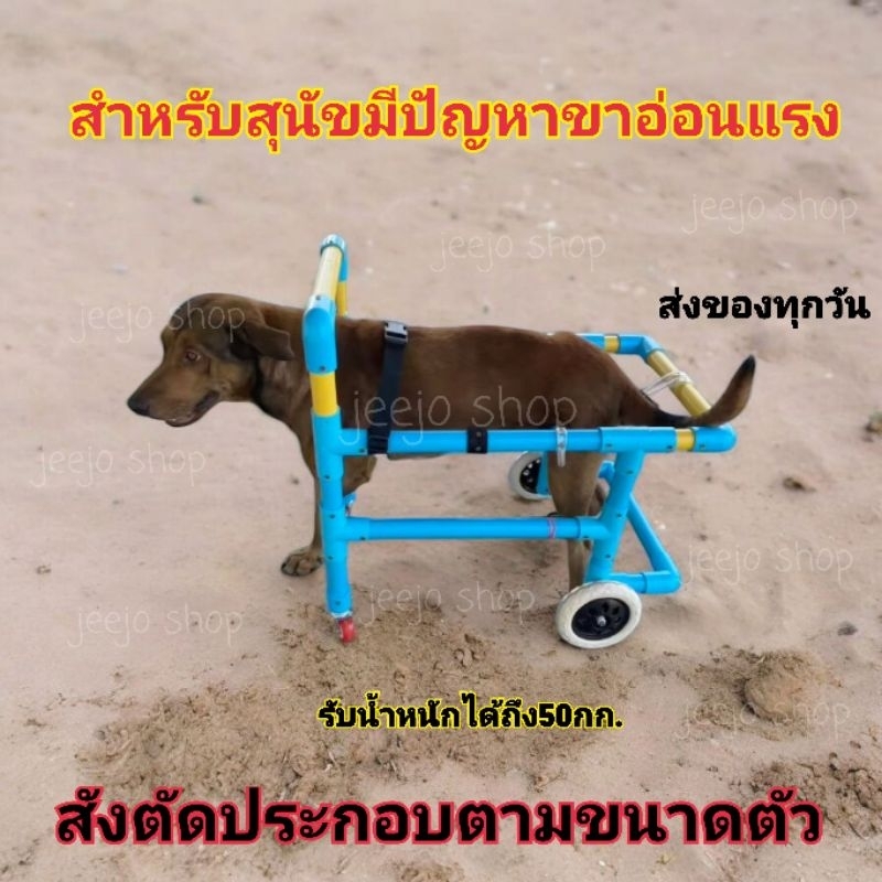 วีลแชร์สุนัขพันธุ์ใหญ่