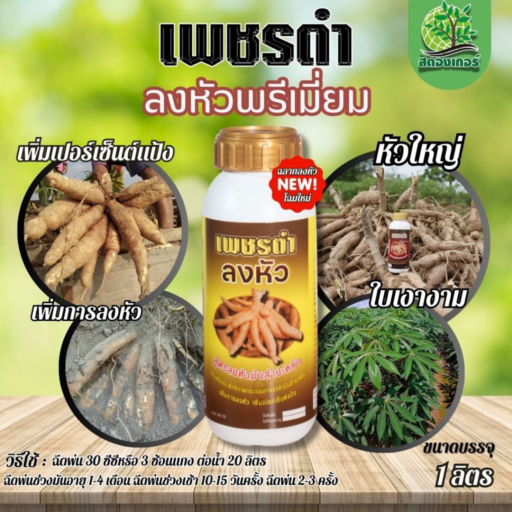 เพชรดำลงหัว🌱 เพิ่มปริมาณหัวมัน เพิ่มการลงหัวมัน เพิ่มเปอร์เซ็นต์แป้งสูง ขนาด 1,000 cc.