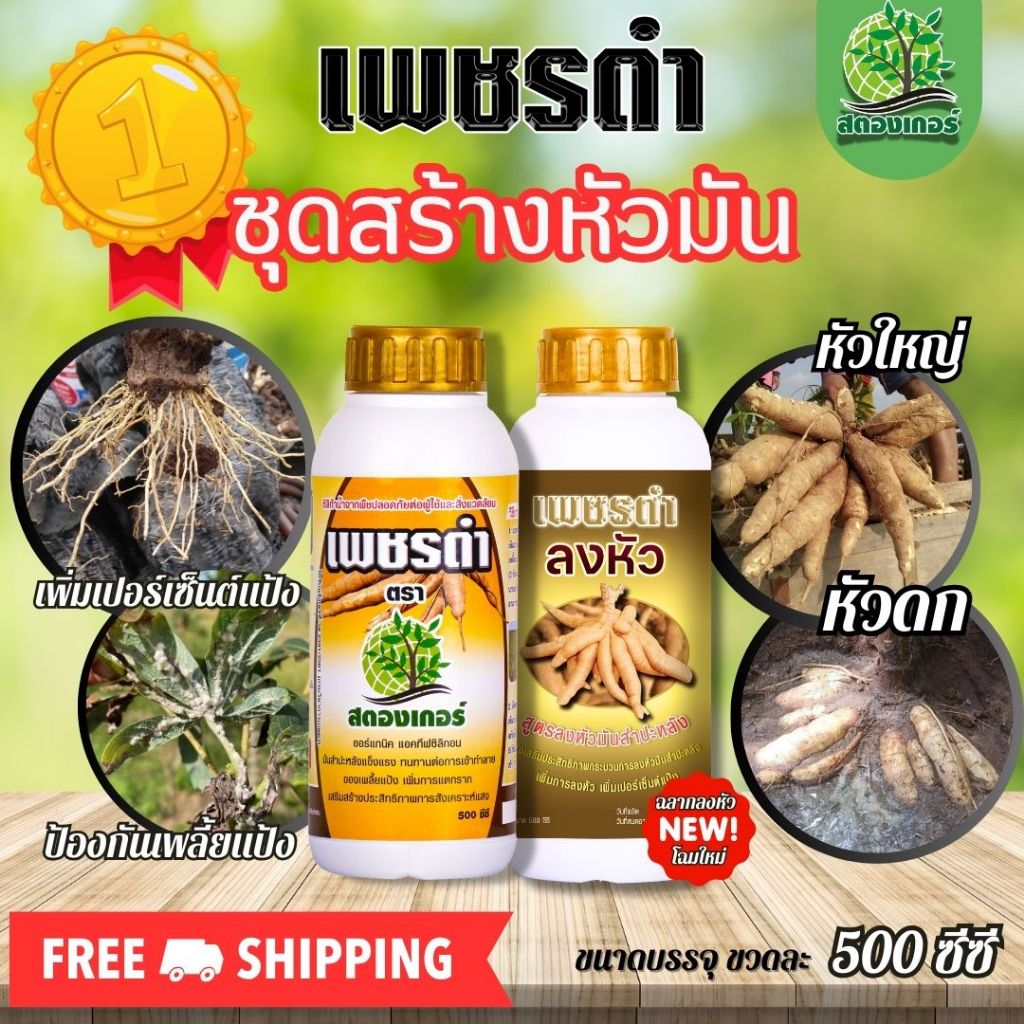 ชุดสร้างหัวมันสำปะหลัง เพิ่มจำนวนหัวมัน เพิ่มน้ำหนักหัวมัน เพิ่มเปอร์เซ็นต์แป้ง ชุดแช่ราก+ลงหัว