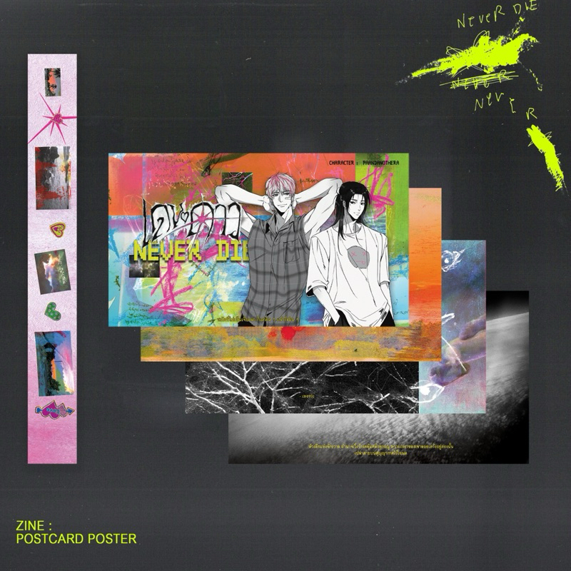 (พร้อมส่ง) postcard —เดนดาวneverdie