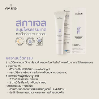 Viv Skin Kamin Sea Holly Melasma and Scar Gel