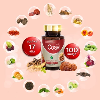 Coga (100เม็ด/กป.) สมุนไพรรวม 17 ชนิด วิตามิน อาหารเสริม ถั่งเช่า โสม หลินจือ