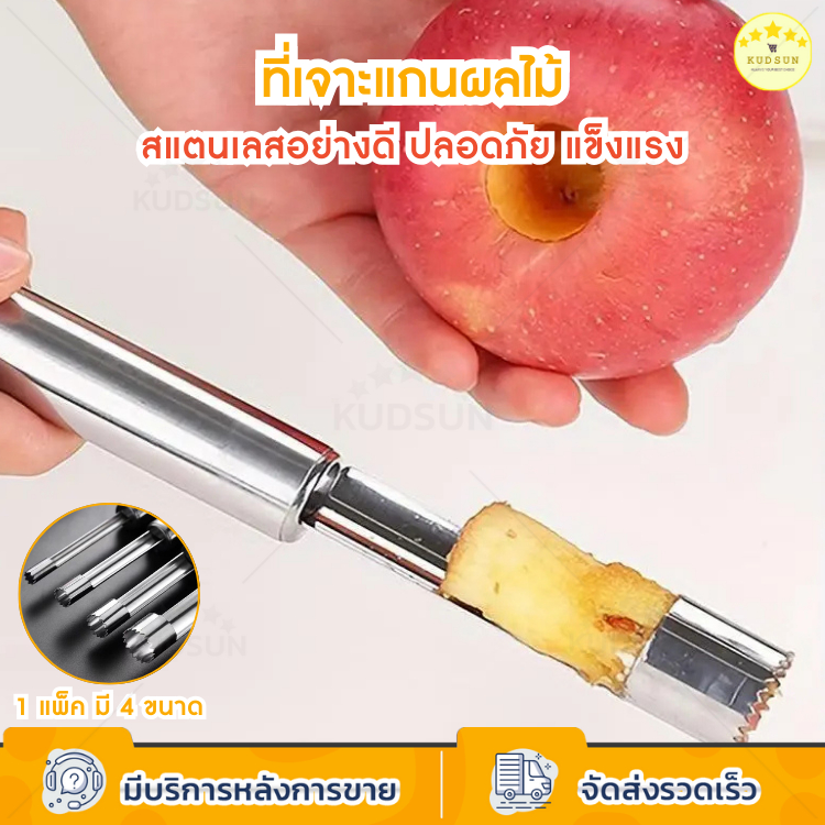 KUDSUN  อุปกรณ์คว้านเม็ด ที่เจาะแกนผลไม้ มีดคว้าน มีดแกะสลัก คว้านเม็ด มะยงชิด พุทรา เชอร์รี่ แอปเปิ้ล สแตนเลส