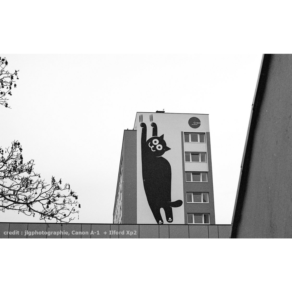 ฟิล์มขาวดำ ILFORD XP2 Super 400 35mm 36exp 135-36 Black and White Film ฟิล์มถ่ายรูป C41 ฟิล์ม xp2