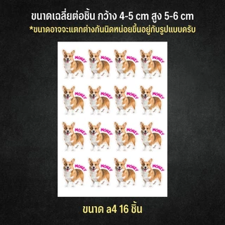 สติกเกอร์ไดคัทรูปสัตว์เลี้ยงของคุณ ระบุชื่อ,ข้อความได้ ติดได้ทุกที่ สีสวย กันน้ำ ซื้อ 3 ฟรี 1 แผ่น