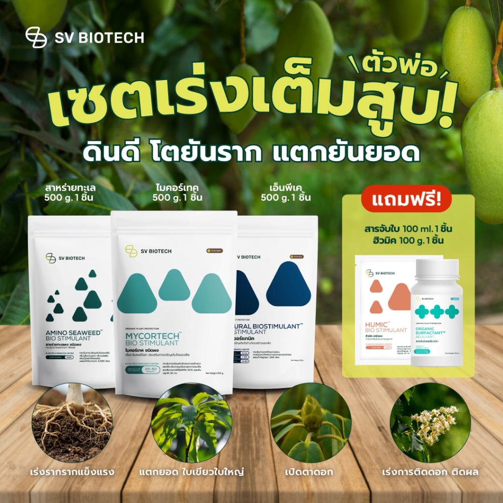[ซื้อ 3 แถม 2] เอสวี เซ็ตเร่งเต็มสูบ ดินดี โตยันราก แตกยันยอด NPK 500g, สาหร่ายทะเลผง 500g, ไมคอร์เทค 500 g