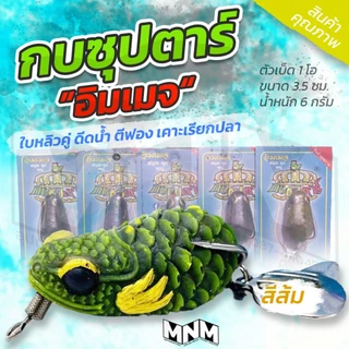 กบซุปตาร์ รุ่น อิมเมจ IMAGE