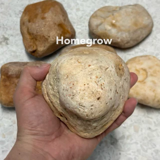 หินก้อนใหญ่ หินแม่น้ำขนาดใหญ่ แต่ตู้ปลา ลำธาร ศิลปะ พร้อมส่ง