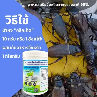 CRICKET(คริกเก็ต)1,000กรัมอาหารเสริมจิ้งหรีดและสัตว์เล็กจากแร่ธาตุรวมและเเคลเซียมเสริม