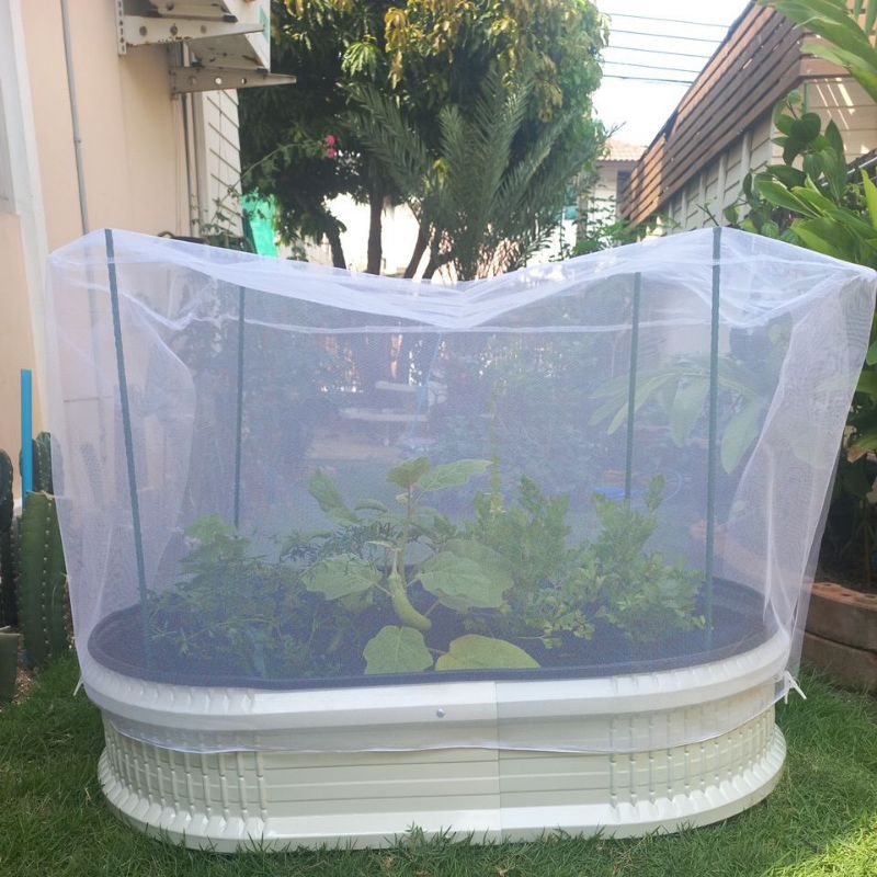 มุ้งคลุมกระบะปลูกผักป้องกันศัตรูพืช 65×120×70 ซม.= กว้าง×ยาว×สูง ซม.