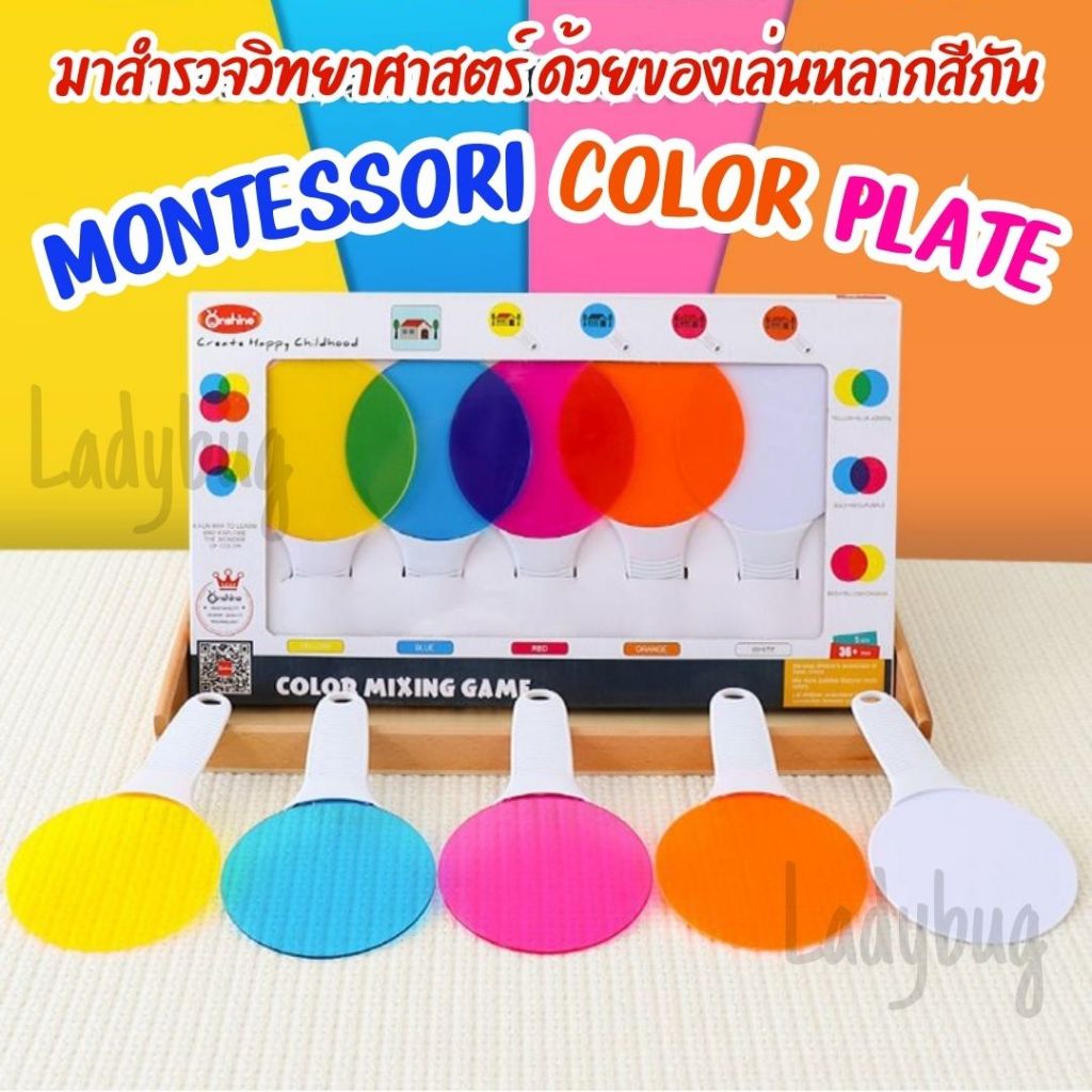 Montessori shape and color sorting box ของเล่นแนวมอนเตสซอรี่ ฝึกแยกสี ฝึกแยกรูปร่าง