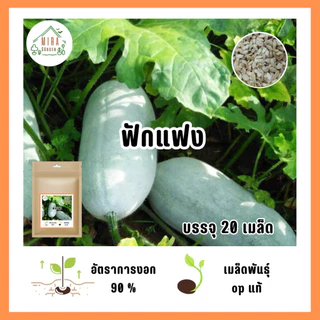 9บาท เมล็ดลูกฟักแฟง 20 เมล็ด