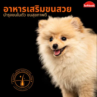 furfriends ขนมขัดฟันสุนัข ไก่อบแห้ง หนังวัว โปรตีนสูง ขนมแทะฟัน ลดการดื้อ และเสริมการดูแลฟัน ขนมขัดฟันสุนัข