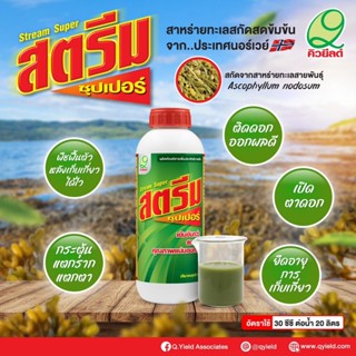 สตีมซุปเปอร์ สาหร่ายทะเลสกัดเข้มข้น เปิดตาดอก เสริมสร้างดอกใ…
