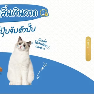 Okiko ทรายแมว โอคิโกะ ทรายแมว เกรดพรีเมี่ยม บรรจุ 10 ลิตร - Okiko Cat Litter 10