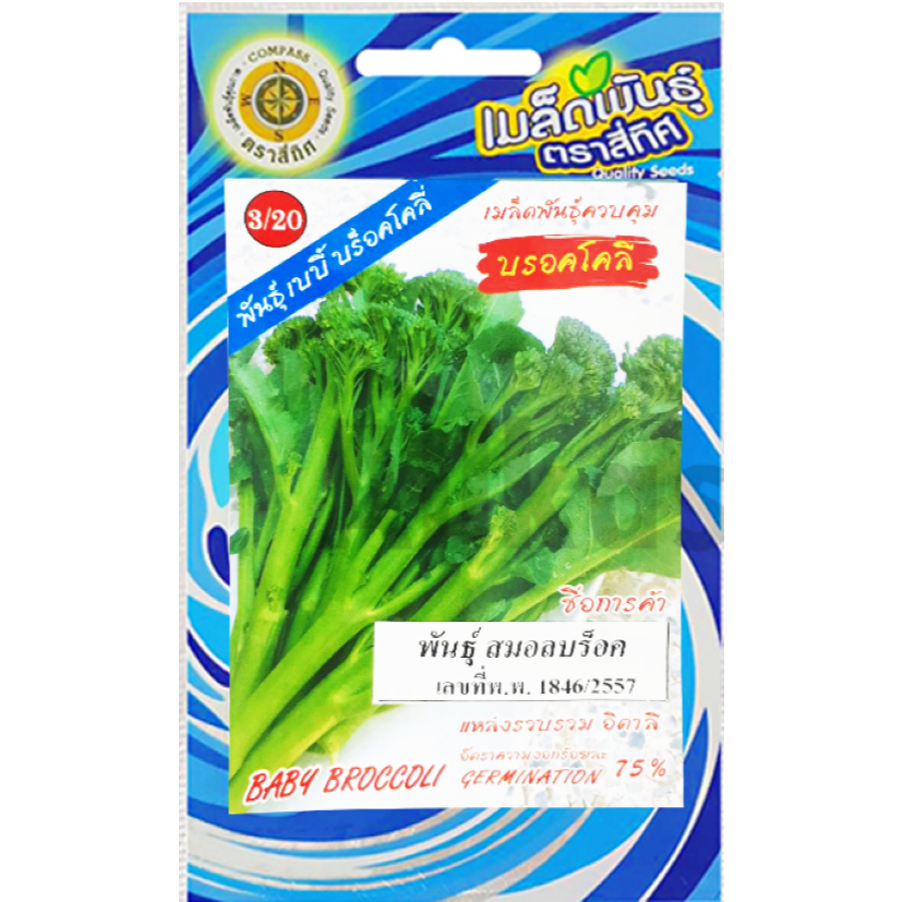 เมล็ดเบบี้บร๊อคโคลี่ พันธุ์เบบี้ร๊อค