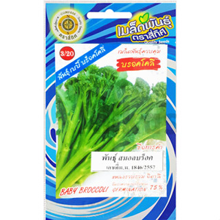 เมล็ดเบบี้บร๊อคโคลี่ พันธุ์เบบี้ร๊อค