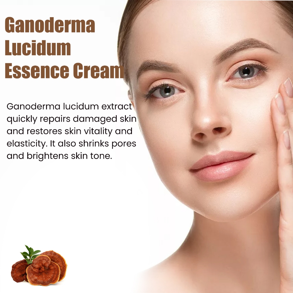 EELHOE ครีมเห็ดหลินจือ ช่วยลดเลือนริ้วรอยอย่างมีประสิทธิภาพและทำให้ครีมให้ความชุ่มชื้นเห็ดหลินจือสดใสขึ้น Reishi Cream - รูปที่ 6