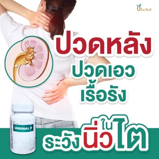 Uherbal P ยูเฮอร์เบิล พี ตอบโจทย์เรื่องนิ่วในไต