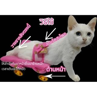 รถแมวพิการแบบเตี้ยสามารถนอนได้น้ำหนักเบาให้น้องแมวได้เดินเล่นในบ้าน