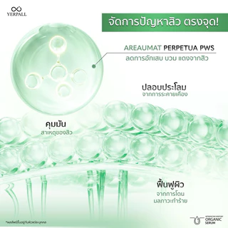 [เซรั่มผัก] YERPALL INTENSIVE BIO VEGETABY ORGANIC SERUM