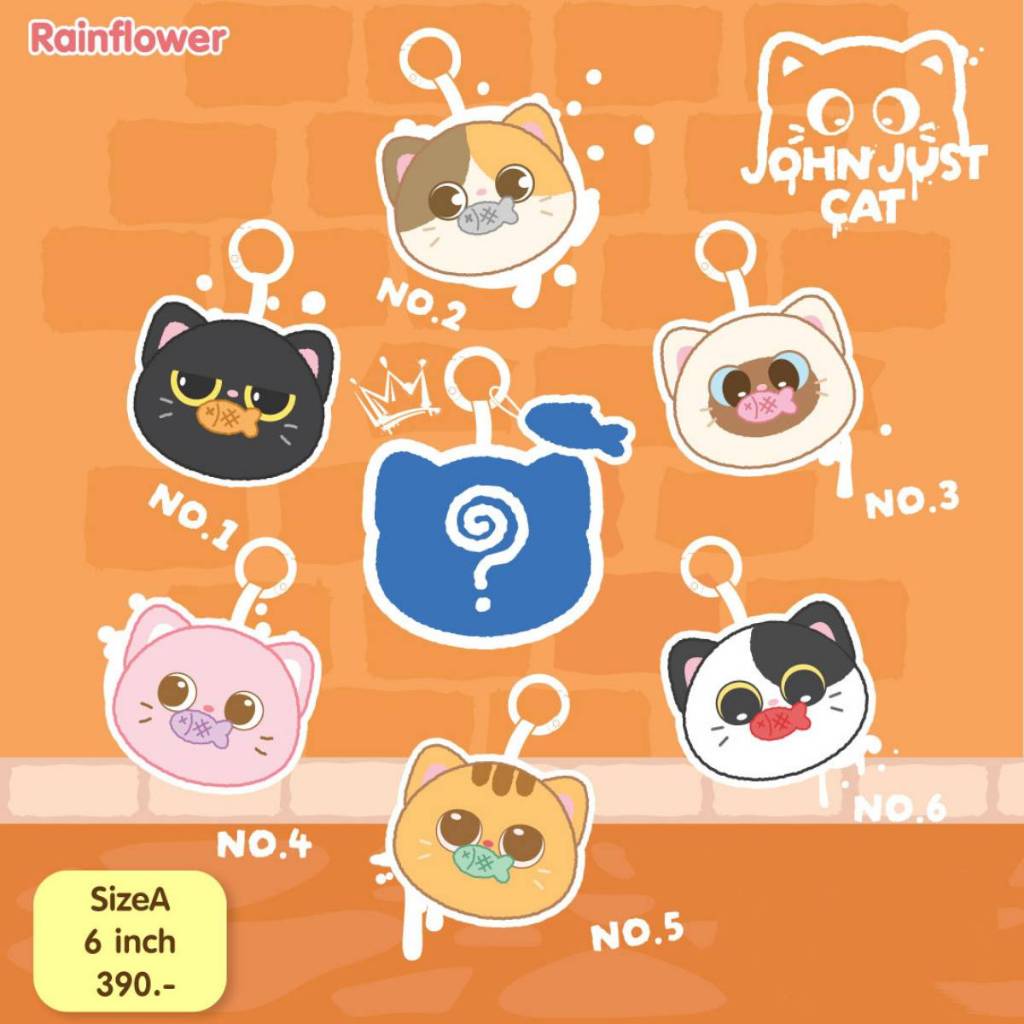 Rainflower กล่องสุ่มที่ใส่บัตรแมว John just cat 2024 สินค้าพร้อมส่ง