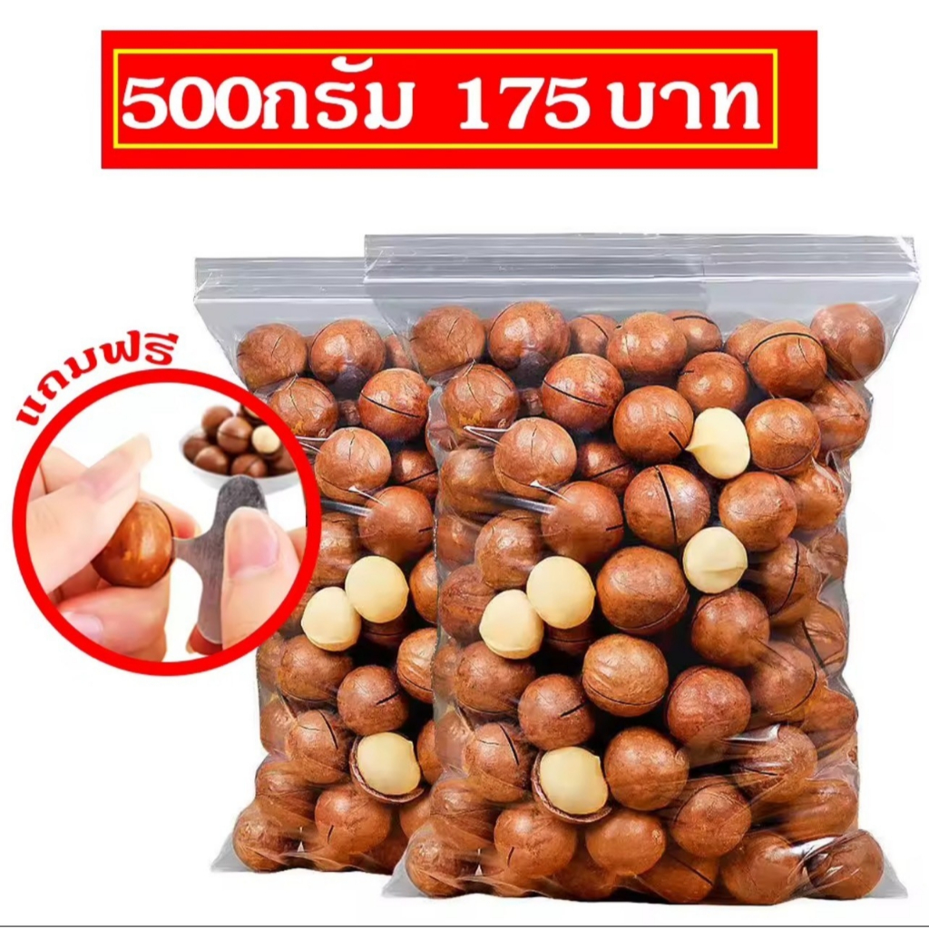ส่งฟรี [500กรัม] แมคคาเดเมีย แมคคาเดเมียอบธรรมชาติ กรอบ อบธรรมชาติ [พร้อมฟรีที่แกะ] อร่อย หอม หวาน มัน กรอบ ฟินมากๆ