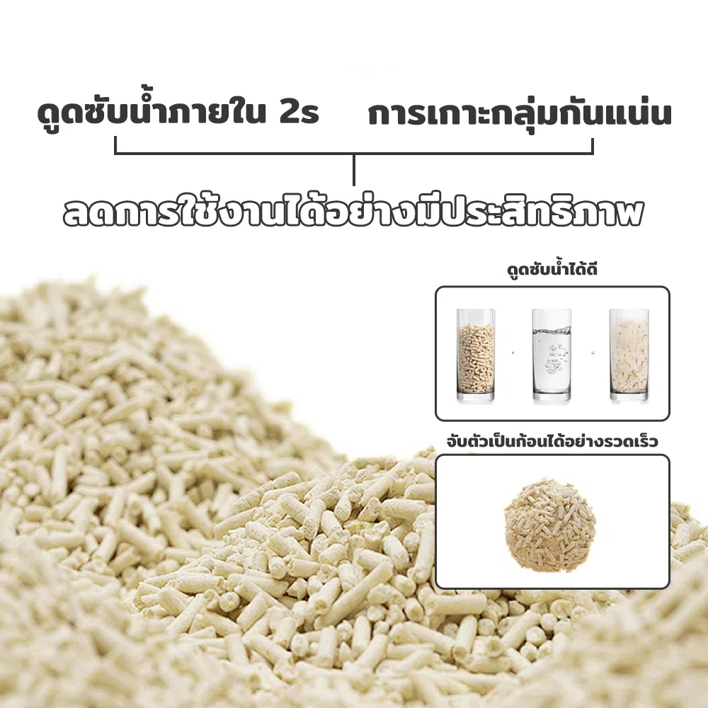 รูปภาพ 4