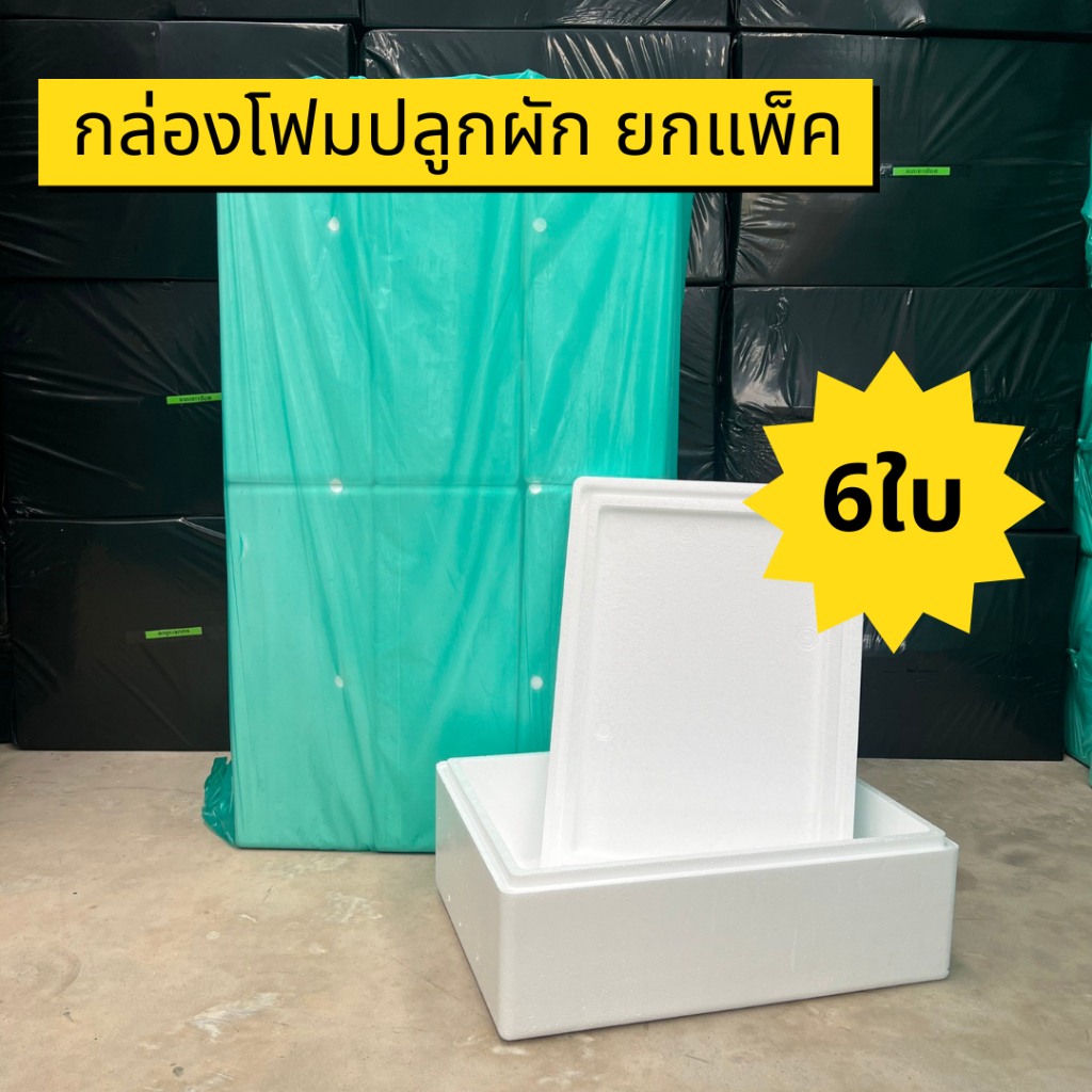 กล่องโฟมปลูกผัก แพ็ค6ใบ กล่องโฟมปลูกผักไฮโดรโปนิกส์ กล่องโฟม