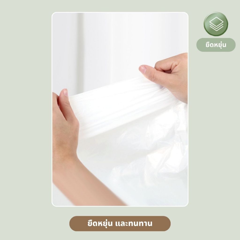 รูปภาพ 8