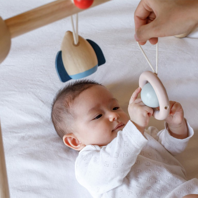 PlanToys صالة لعب خشبية Play Gym — Orchard — صورة 3