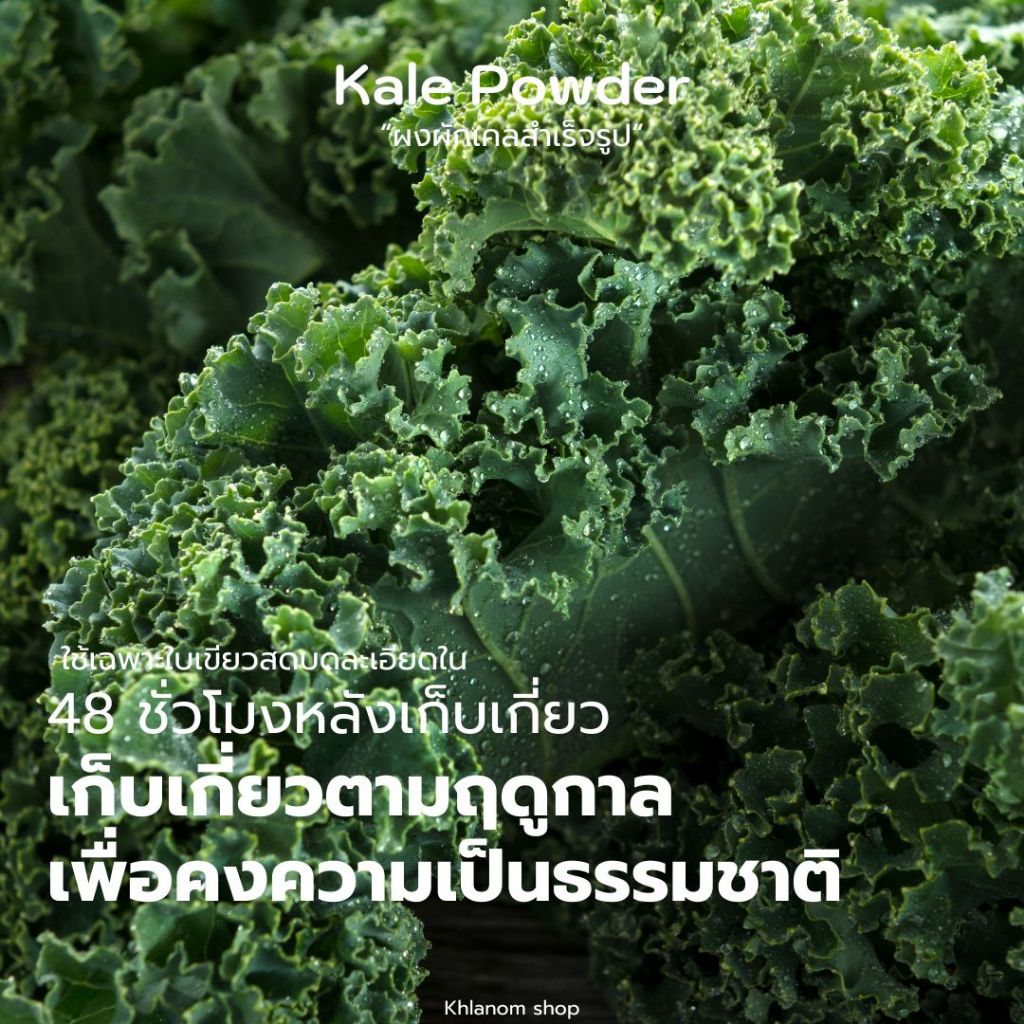 [1แพ็ก/30ซอง] ผงผักเคล LeRancn Kale Powder ออแกนิค100% มีประโยชน์ ดีต่อสุขภาพ