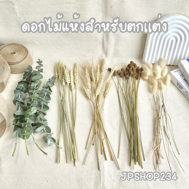 JPCraft🌻-ดอกไม้แห้ง หลายชนิด ข้าวบาเล่ย์แห้งสำหรับตกเเต่ง พรอพถ่ายภาพ(F19)