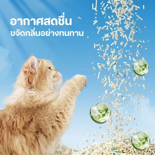 【PETStar1】🥇6 ลิตร ทรายแมวผสม🥇 มีทรายแมวแบบเต้าหู้ ลดกลิ่นไม่พึงประสงค์ ดูดซับและดับกลิ่นไม่พึงประสงค์ได้ดีเยี่ยม คุณภาพส