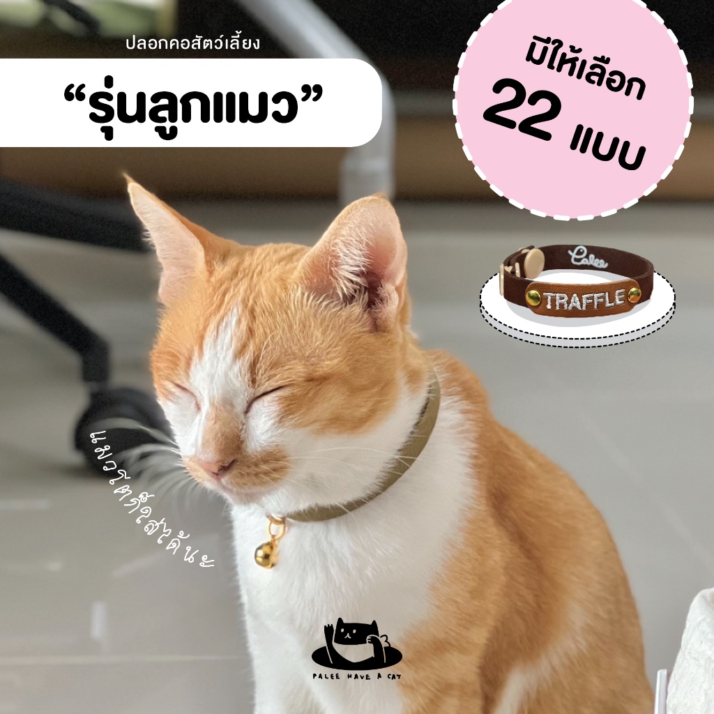 PALEE ปลอกคอแมว “รุ่นลูกแมว” มีให้เลือก 22 แบบ [ แมวโตก็ใส่ได้นะ ]