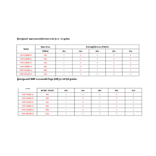 ตู้คอนซูมเมอร์ ยูนิต NANO PLUS เมน+ 14ช่อง (พร้อมMCB 40A,50A,63A+ลูกย่อย12ลูก)
