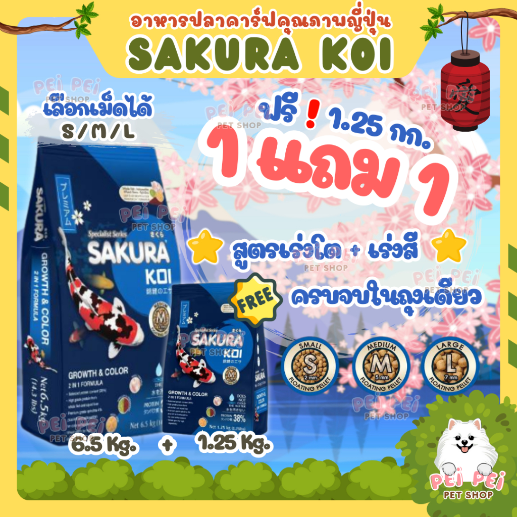 ⭐ซื้อ1แถม1⭐เลือกเม็ดได้❗อาหารปลาคาร์ฟ Sakura Koi (ซากุระ โค่ย) สูตรเร่งโต+เร่งสี ขนาด 6.5 กก.