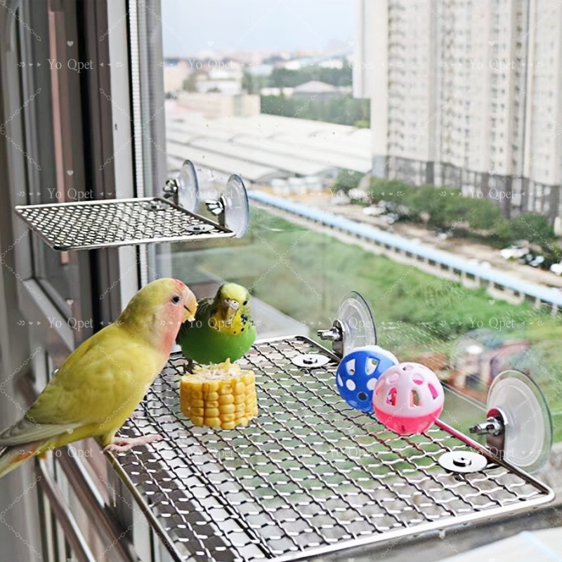 ที่ยืนนกแก้ว แพลตฟอร์มโลหะ สแตนเลสสวมใส่สถานีนก นกแก้วตาข่ายเหล็กแพลตฟอร์ม ของเล่นแพลตฟอร์มสําหรับสั