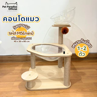 🌈PetParadise.th✨คอนโดแมว คอนโดไม้ คอนโดแมวเด็ก ขนาดกระทัดรัด สไตล์มินิมอล พร้อมหลุมอวกาศ