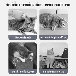🔥กรงหิ้ว🔥กล่องใส่สัตว์เลี้ยง ขนาดใหญ่ กรงเดินทาง สำหรับสุนัขและแมว กรงสัตว์เลี้ยงพกพา ราคาถูก กรงถือแมว แถมแผ่นปูพื้น